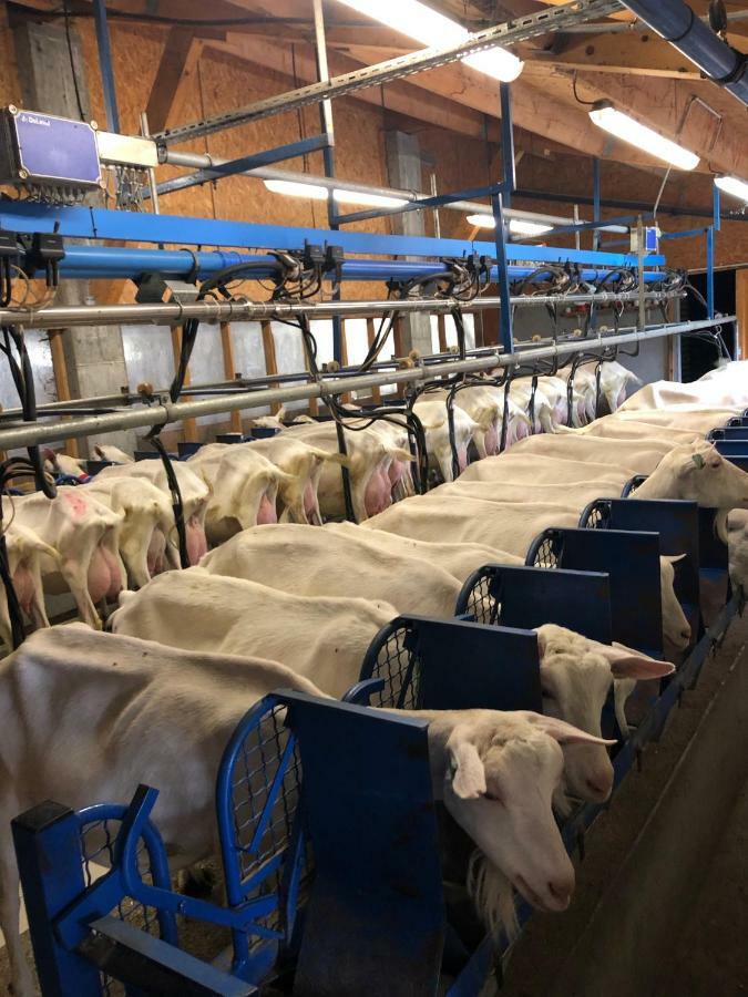 Duplex 6 A 8 Couchages Calme Avec Solarium Plein Sud